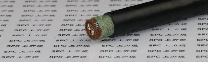 PVVP22聚氯乙烯绝缘聚氯乙烯护套编织屏蔽钢带铠装信号电缆  PVVP22信号电缆